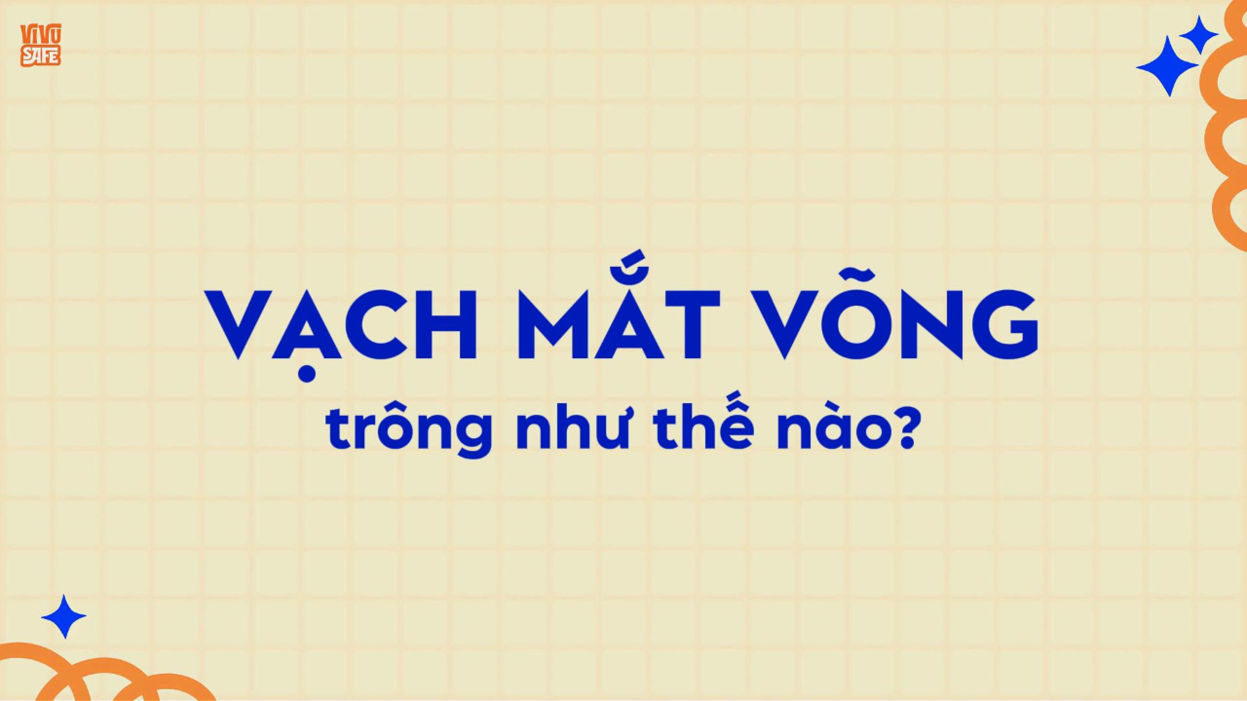 vạch mắt võng-Cover